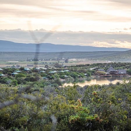 Buffelsdrift Game Lodge Oudtshoorn Exterior photo