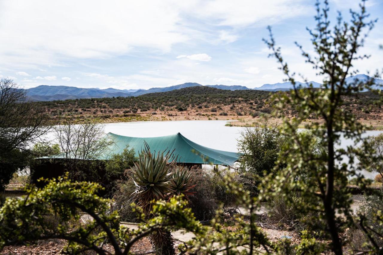 Buffelsdrift Game Lodge Oudtshoorn Exterior photo