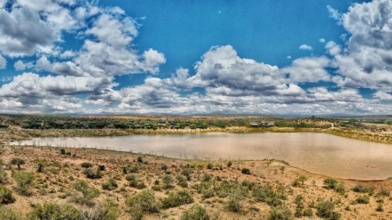 Buffelsdrift Game Lodge Oudtshoorn Exterior photo