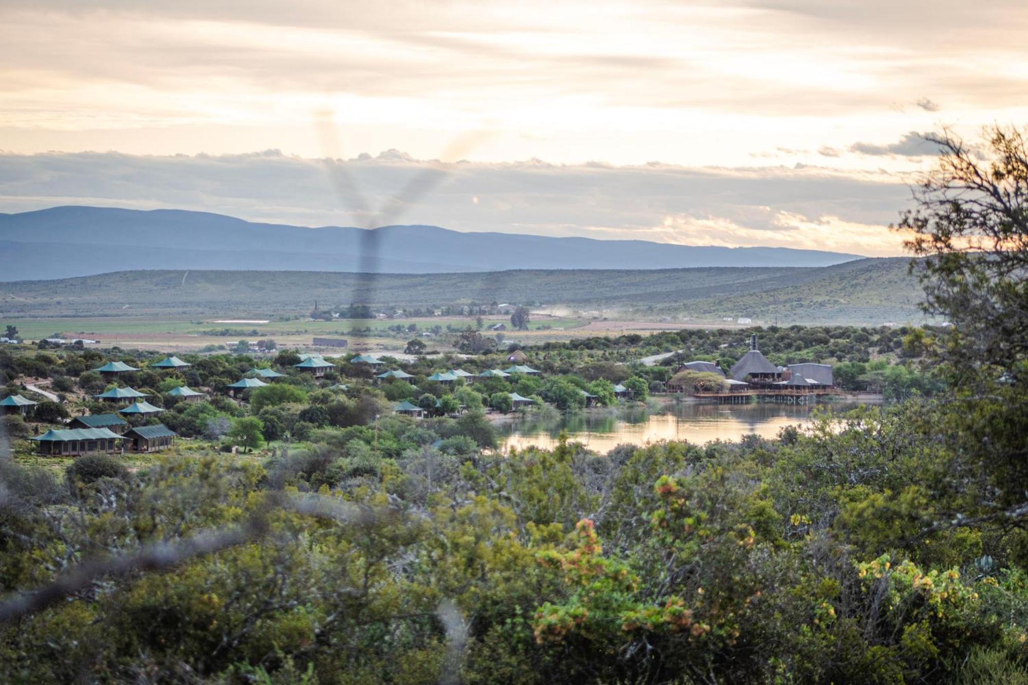 Buffelsdrift Game Lodge Oudtshoorn Exterior photo